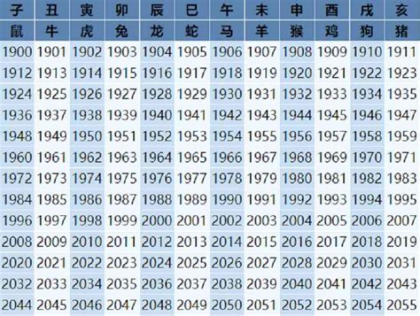 属马2023年几岁|属马的出生年份表年龄